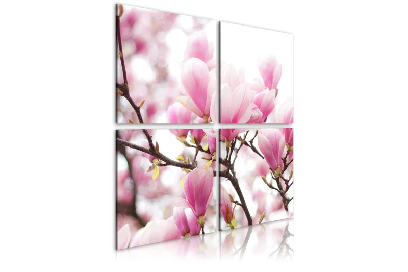 Bilde Blomstrende Magnolia Tre 80x80, Artgeist sp. z o. o.