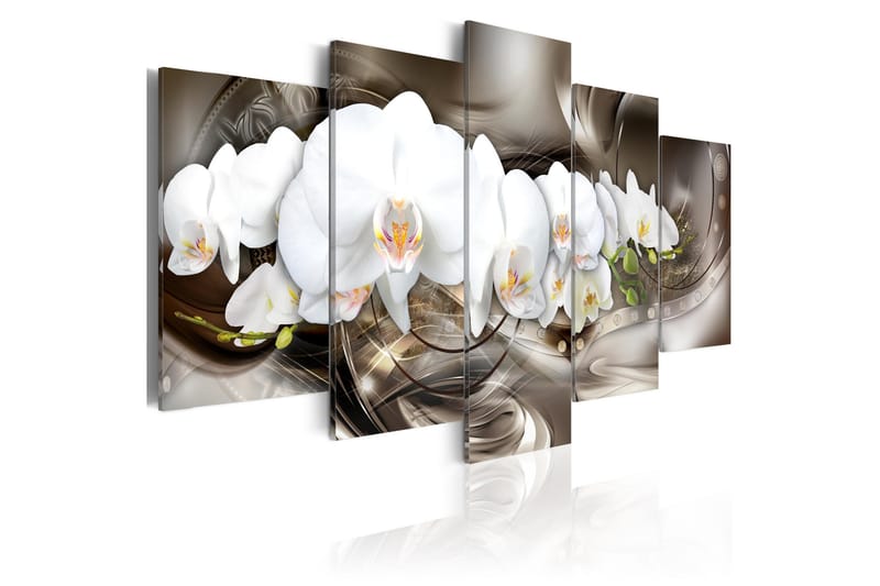 Bilde Brown Mirage 100x50 - Artgeist sp. z o. o. - Innredning - Bilder & kunst - Lerretsbilder