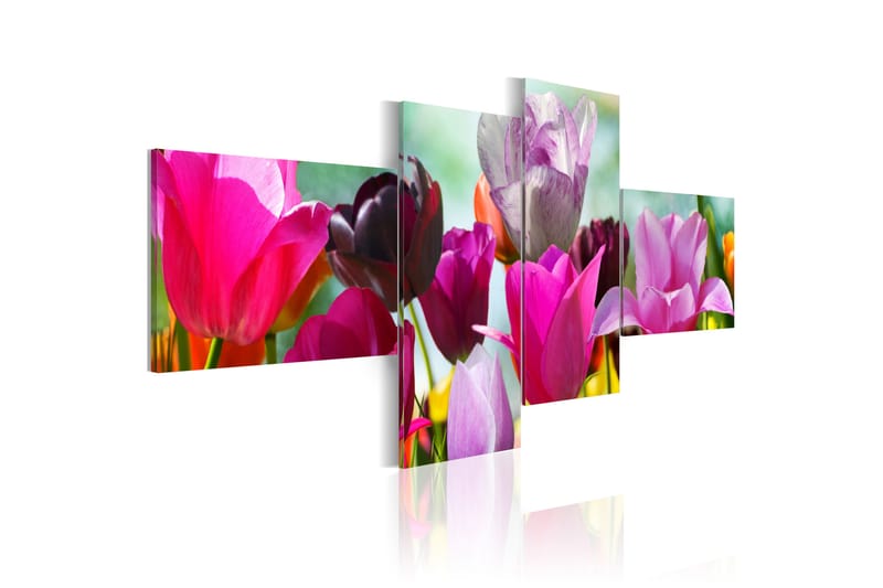 Bilde Charming Red Tulips 100x45 - Artgeist sp. z o. o. - Lerretsbilder