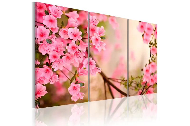Bilde Cherry Flower 120x80, Artgeist sp. z o. o.