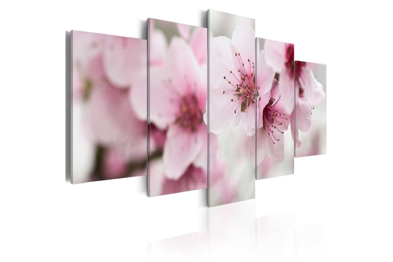 Bilde Cherry- Gentleness And Beauty 200x100 - Artgeist sp. z o. o. - Innredning - Bilder & kunst - Lerretsbilder