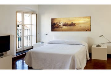 Bilde City Of Stallions 120x40 - Artgeist sp. z o. o. - Innredning - Bilder & kunst - Lerretsbilder