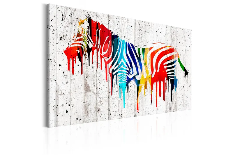 Bilde Colorful Zebra 120x80, Artgeist sp. z o. o.