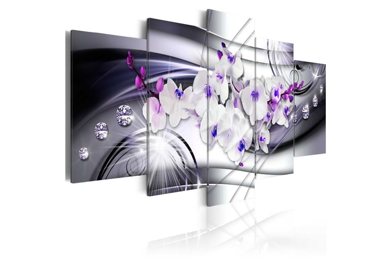 Bilde Coolness Of Orchid 100x50, Artgeist sp. z o. o.
