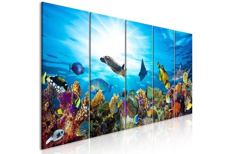 Bilde Coral Reef 5-delt 225x90 - Artgeist sp. z o. o. - Innredning - Bilder & kunst - Lerretsbilder