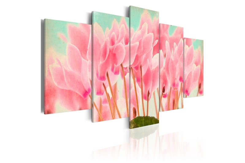 Bilde Cyclamen 100x50 - Artgeist sp. z o. o. - Innredning - Bilder & kunst - Lerretsbilder