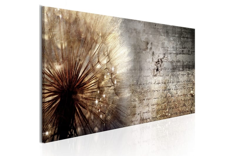 Bilde Dandelion On Concrete 120x40, Artgeist sp. z o. o.