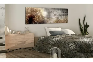 Bilde Dandelion On Concrete 120x40 - Artgeist sp. z o. o. - Innredning - Bilder & kunst - Lerretsbilder