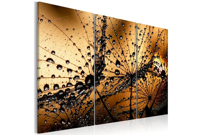 Bilde Dandelions And Dew 120x80, Artgeist sp. z o. o.