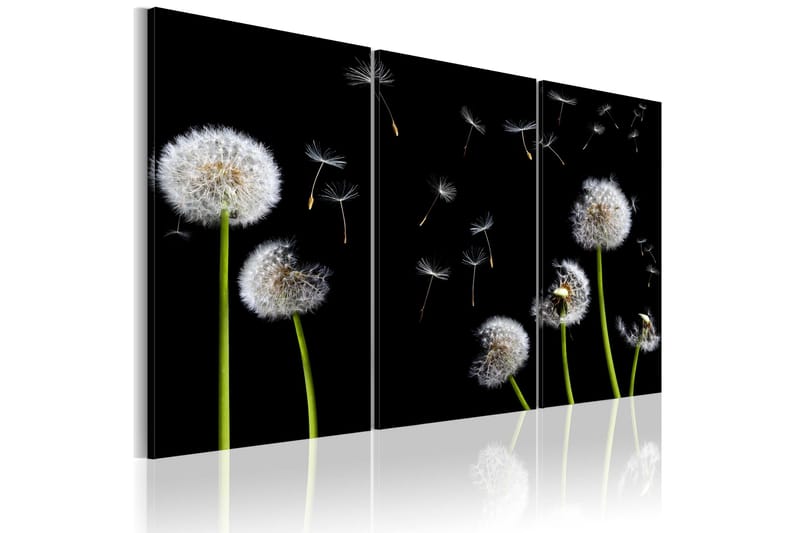 Bilde Dandelions Family 120x80, Artgeist sp. z o. o.