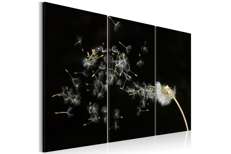 Bilde Dandelions- The Transience 120x80, Artgeist sp. z o. o.