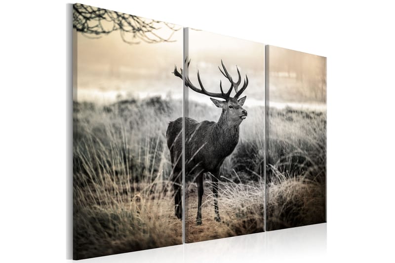 Bilde Dangerous Horns 120x80 - Artgeist sp. z o. o. - Innredning - Bilder & kunst - Lerretsbilder