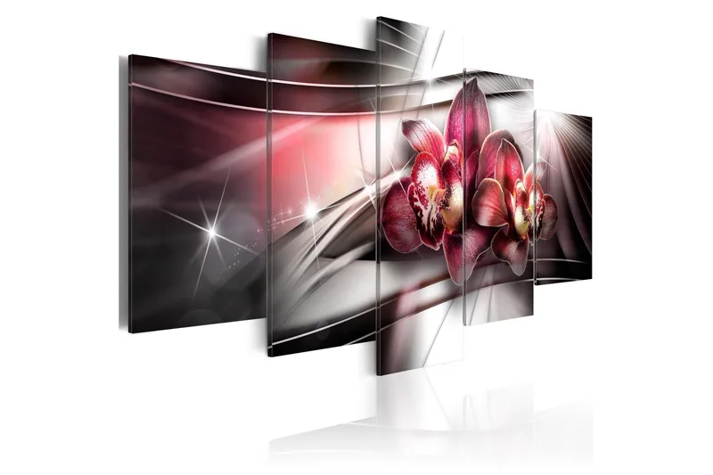 Bilde Dark Beauty 100x50, Artgeist sp. z o. o.