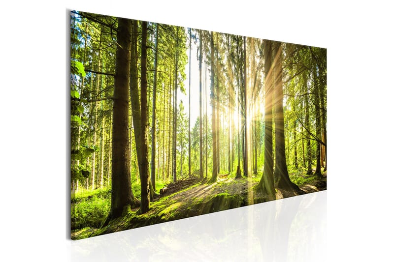 Bilde Daylight 120x40, Artgeist sp. z o. o.