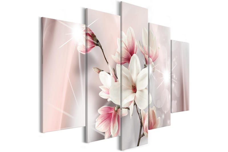 Bilde Dazzling Magnolias 5 Parts Wide 100x50, Artgeist sp. z o. o.