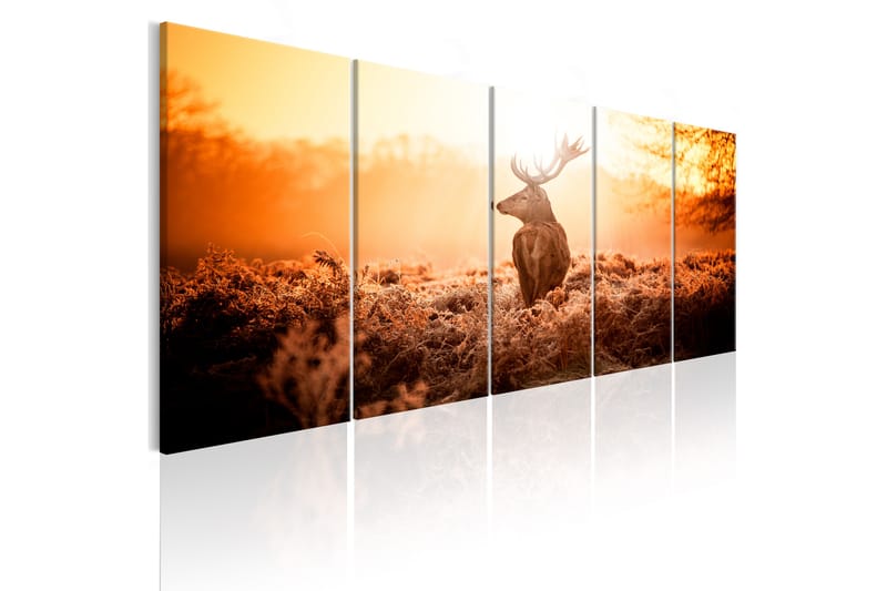 Bilde Deer At Sunset 200x80 - Artgeist sp. z o. o. - Lerretsbilder