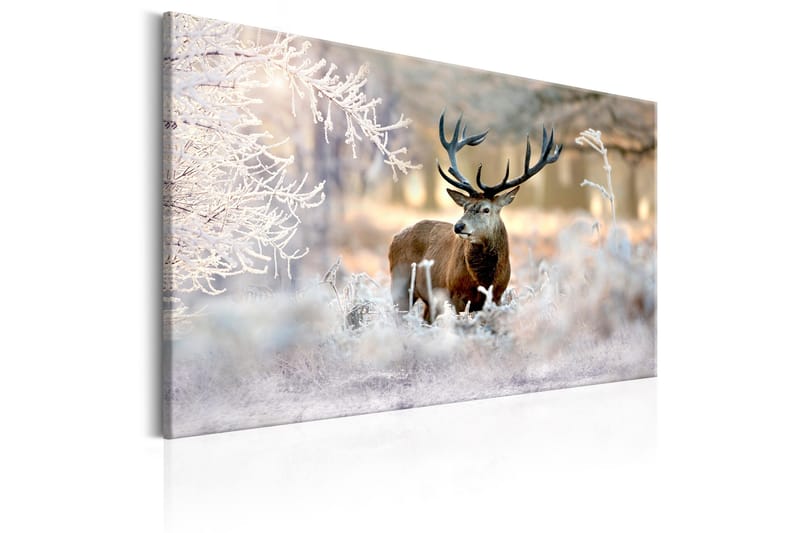 Bilde Deer In The Cold 90x60, Artgeist sp. z o. o.