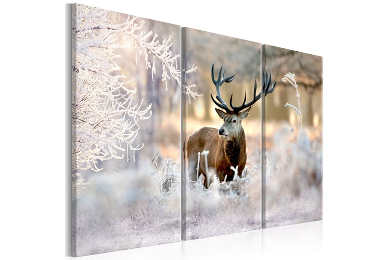Bilde Deer In The Cold 90x60 - Artgeist sp. z o. o. - Innredning - Bilder & kunst - Lerretsbilder
