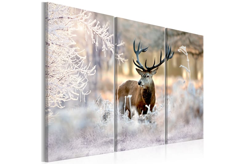 Bilde Deer In The Cold 90x60 - Artgeist sp. z o. o. - Lerretsbilder