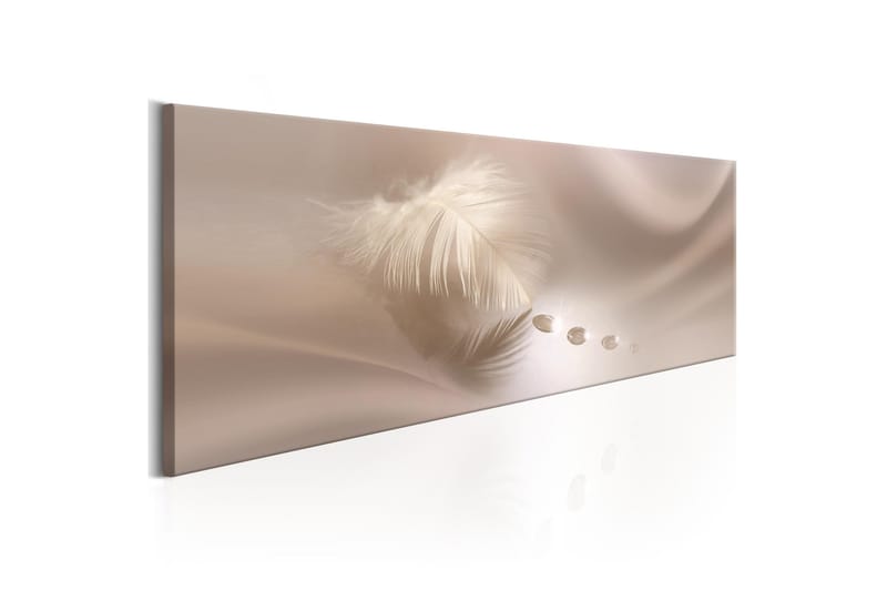 Bilde Delicate Feather 135x45, Artgeist sp. z o. o.