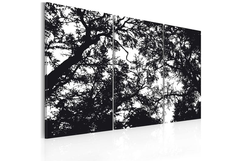 Bilde Dense forest 90x60, Artgeist sp. z o. o.