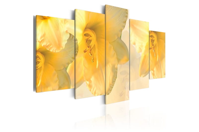 Bilde Dream Lilies 200x100, Artgeist sp. z o. o.