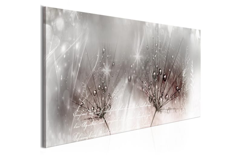 Bilde Drops Of Dew 1 Part Pink Narrow 120x40, Artgeist sp. z o. o.