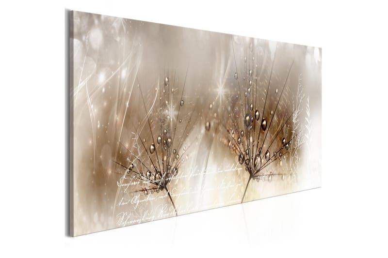 Bilde Drops Of Dew 1 Part Brown Narrow 135x45 - Artgeist sp. z o. o. - Innredning - Bilder & kunst - Lerretsbilder