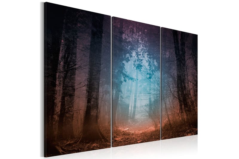 Bilde Edge Of The Forest Triptych 60x40, Artgeist sp. z o. o.