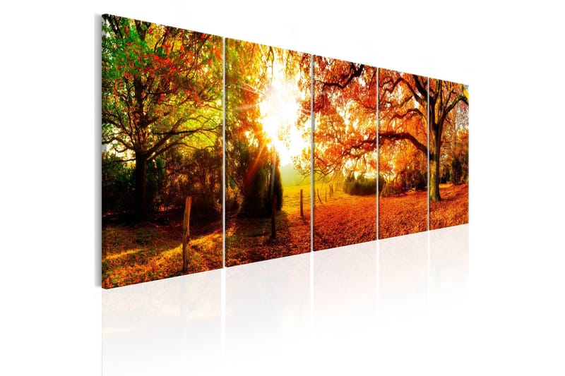Bilde Enchanting Autumn 225x90, Artgeist sp. z o. o.