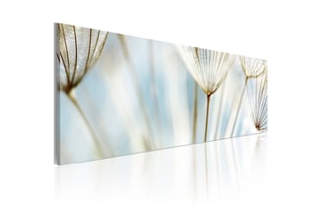Bilde Ephemeral Moments 120x40