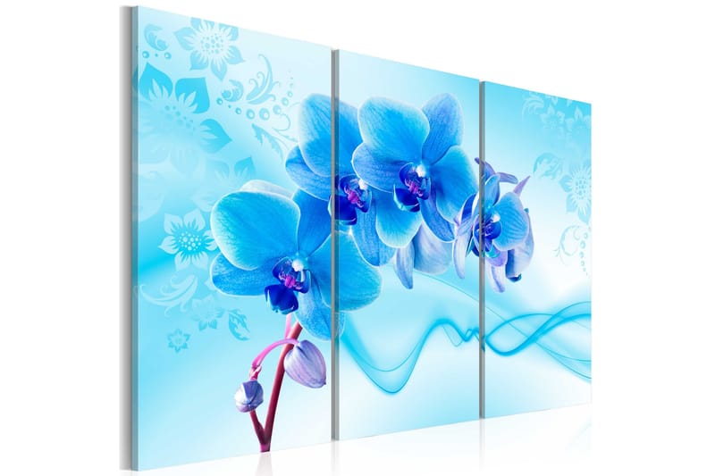 Bilde Ethereal Orchid Blue 120x80, Artgeist sp. z o. o.