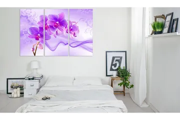 Bilde Ethereal Orchid Violet 60x40 - Artgeist sp. z o. o. - Innredning - Bilder & kunst - Lerretsbilder