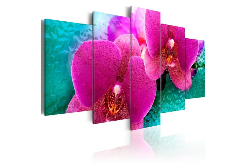 Bilde Exotic Orchids 100x50, Artgeist sp. z o. o.