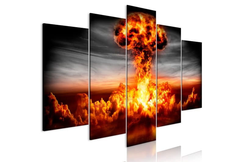 Bilde Explosion 5 Parts Wide 200x100, Artgeist sp. z o. o.