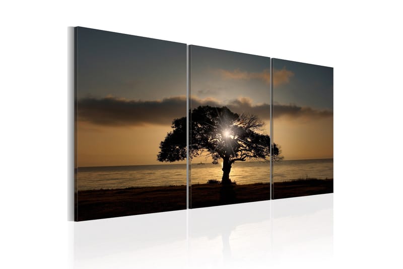 Bilde Extraordinary Nature 120x60, Artgeist sp. z o. o.