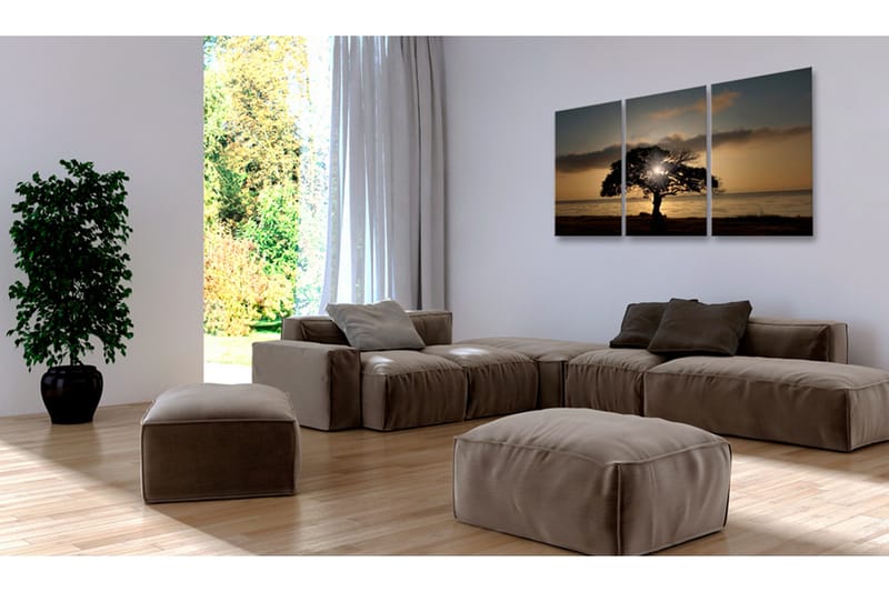 Bilde Extraordinary Nature 120x60 - Artgeist sp. z o. o. - Innredning - Bilder & kunst - Lerretsbilder