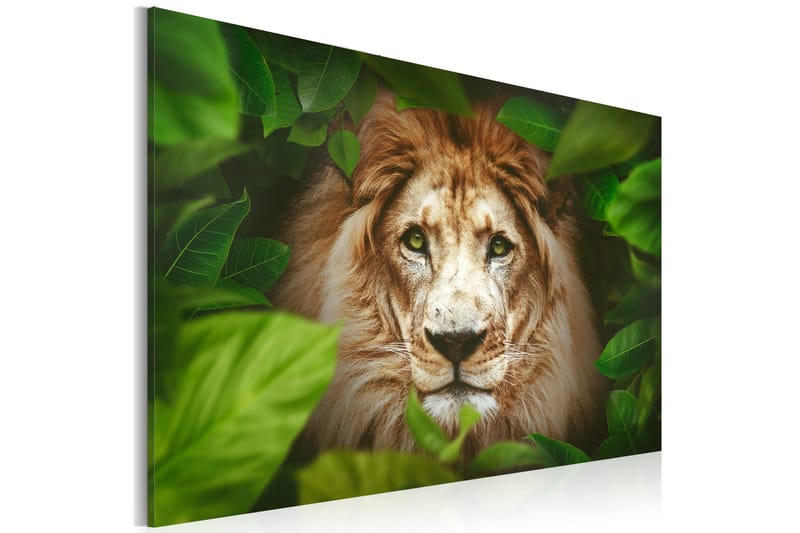 Bilde Eyes Of The Jungle 60x40, Artgeist sp. z o. o.