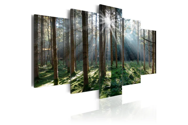 Bilde Fairytale Forest 200x100, Artgeist sp. z o. o.