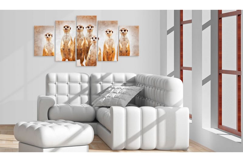 Bilde Family Of Meerkats 100x50 - Artgeist sp. z o. o. - Innredning - Bilder & kunst - Lerretsbilder