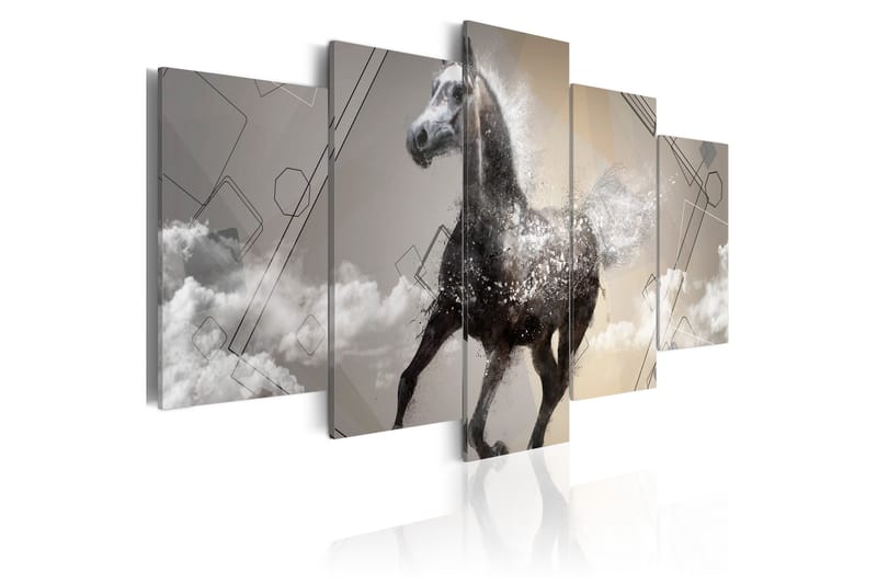 Bilde Fancy Gallop 5 Pieces 200x100 - Artgeist sp. z o. o. - Lerretsbilder