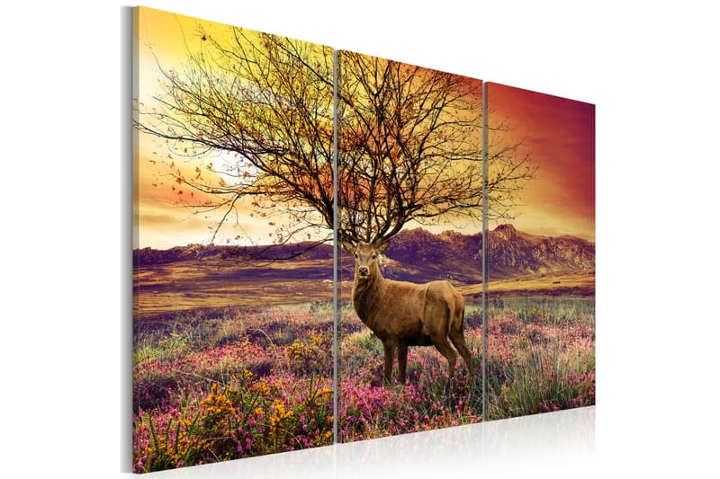 Bilde Fancy Hjortehorn Triptyk 60x40 - Artgeist sp. z o. o. - Innredning - Bilder & kunst - Lerretsbilder