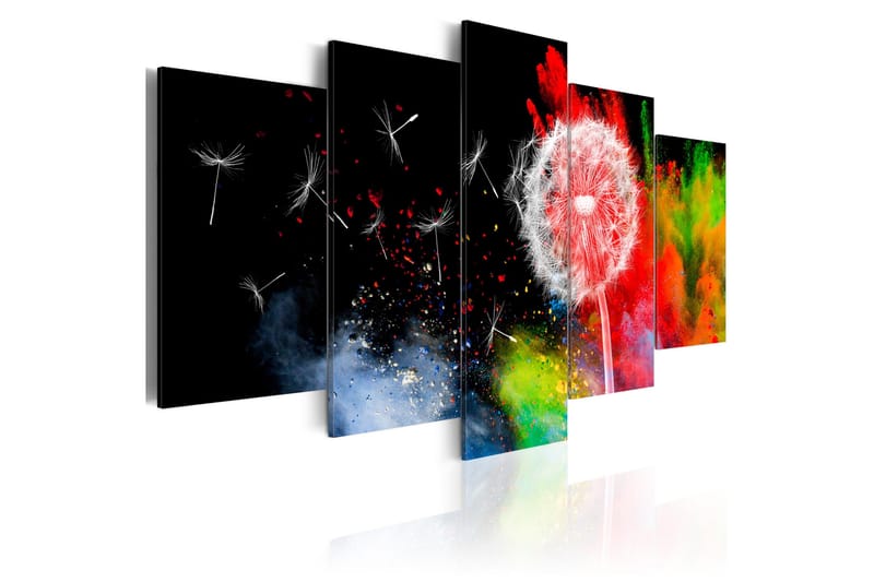 Bilde Festival Of Colours 200x100, Artgeist sp. z o. o.