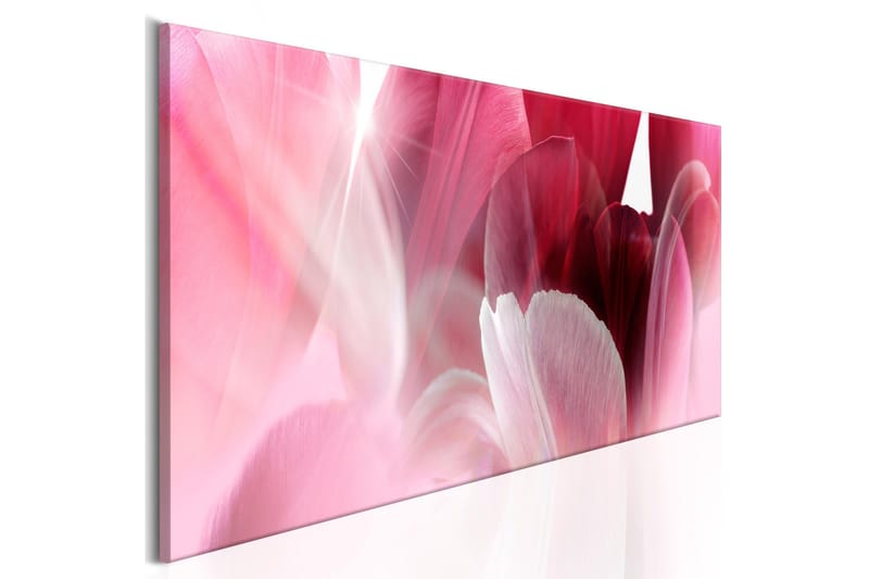 Bilde Flowers Pink Tulips 150x50, Artgeist sp. z o. o.