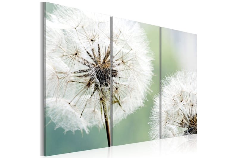 Bilde Fluffy Dandelions 120x80, Artgeist sp. z o. o.
