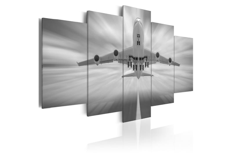 Bilde Flygemaskin 100x50, Artgeist sp. z o. o.
