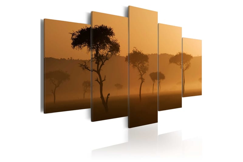Bilde Fog Over A Savannah 200x100, Artgeist sp. z o. o.
