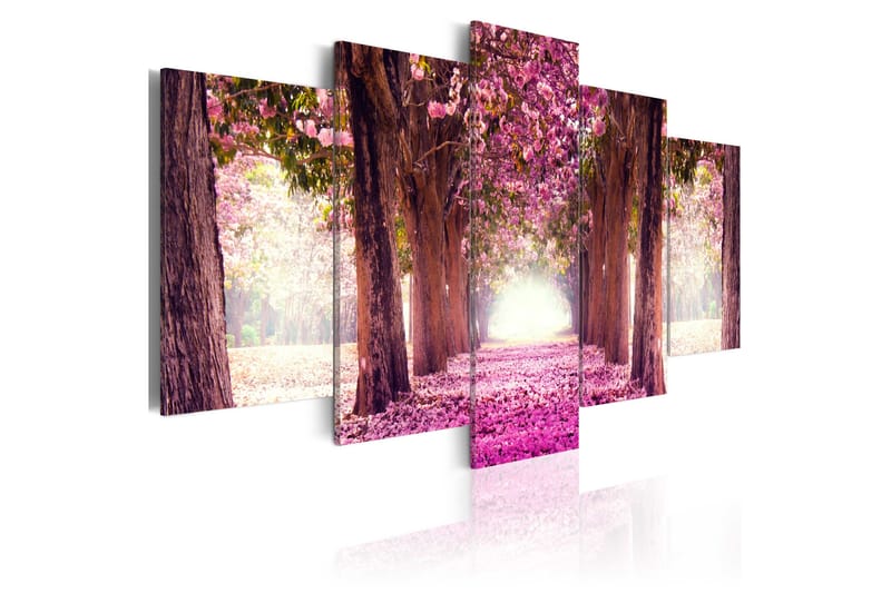 Bilde Follow The Beauty 100x50, Artgeist sp. z o. o.