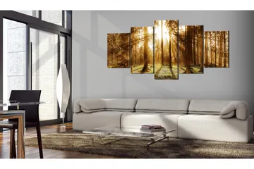 Bilde Forest Illumination 100x50 - Artgeist sp. z o. o. - Innredning - Bilder & kunst - Lerretsbilder