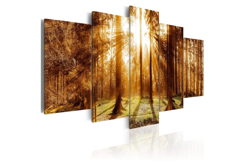 Bilde Forest Illumination 200x100, Artgeist sp. z o. o.